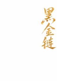 黑金链条包哪家最经典